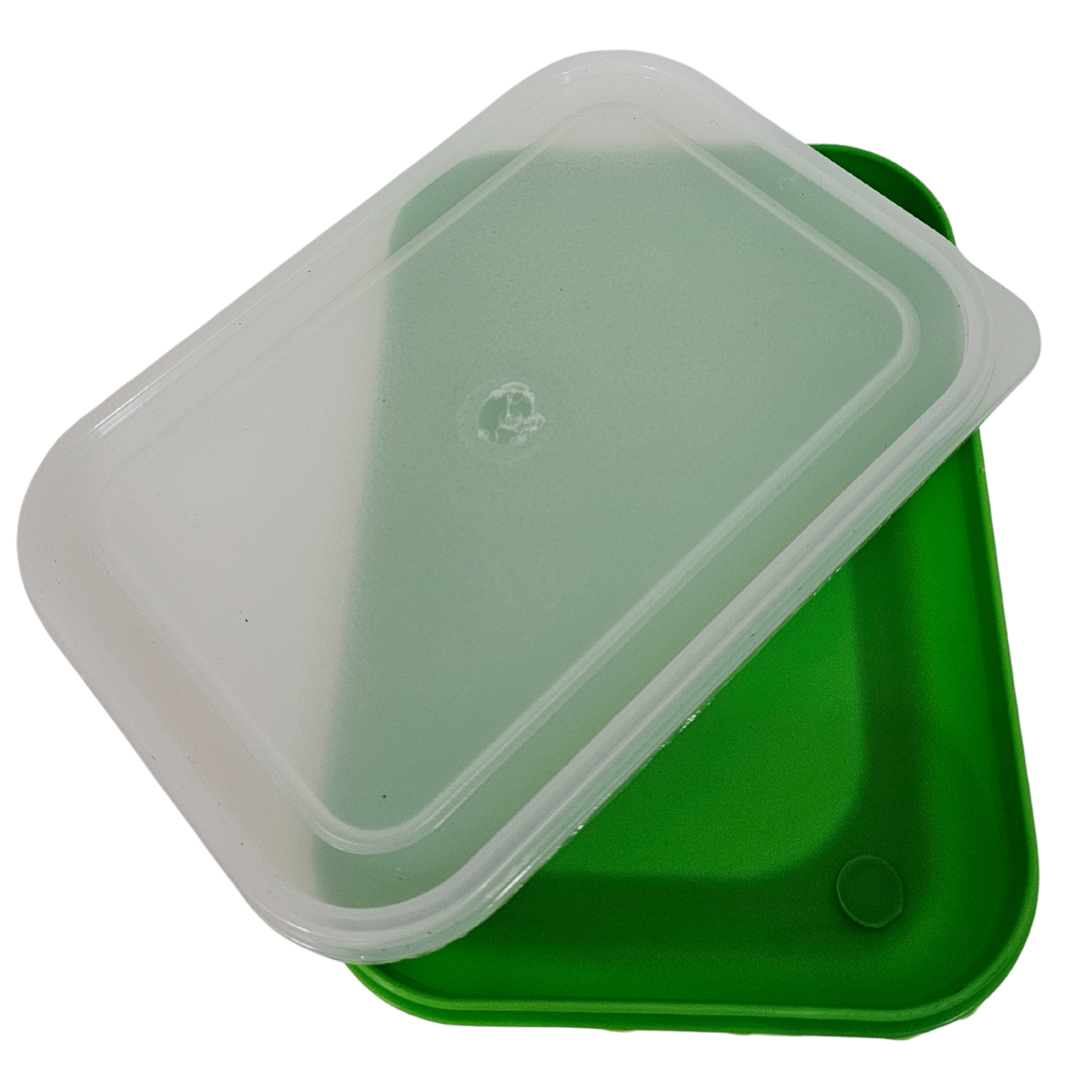Formosa 2-Slice Plastic Lunch Box – Available in 4 Colours