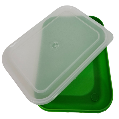 Formosa 2-Slice Plastic Lunch Box – Available in 4 Colours